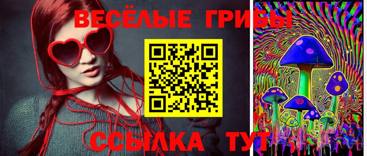 Псилоцибиновые грибы GOLDEN TEACHER Пенза